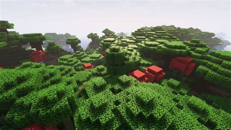 forest biome minecraft|dark oak biome called.